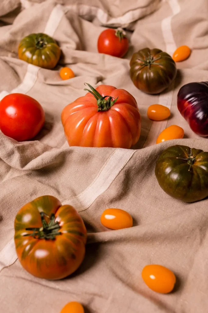 recetas con verduras de verano 2