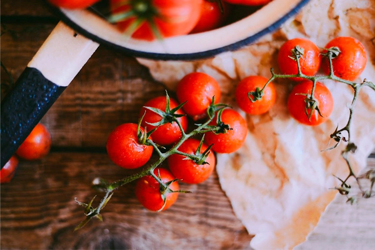 recetas con verduras de verano 1